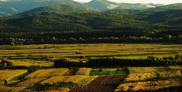 România, vândută la hectar. Oficial: 40% din terenurile agricole sunt în posesia străinilor