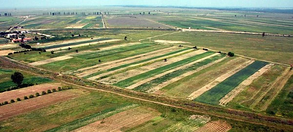 România, țara pământului de vânzare. Ce s-a întâmplat cu promisiunea protejării terenurilor și restricționarea vânzării către străini
