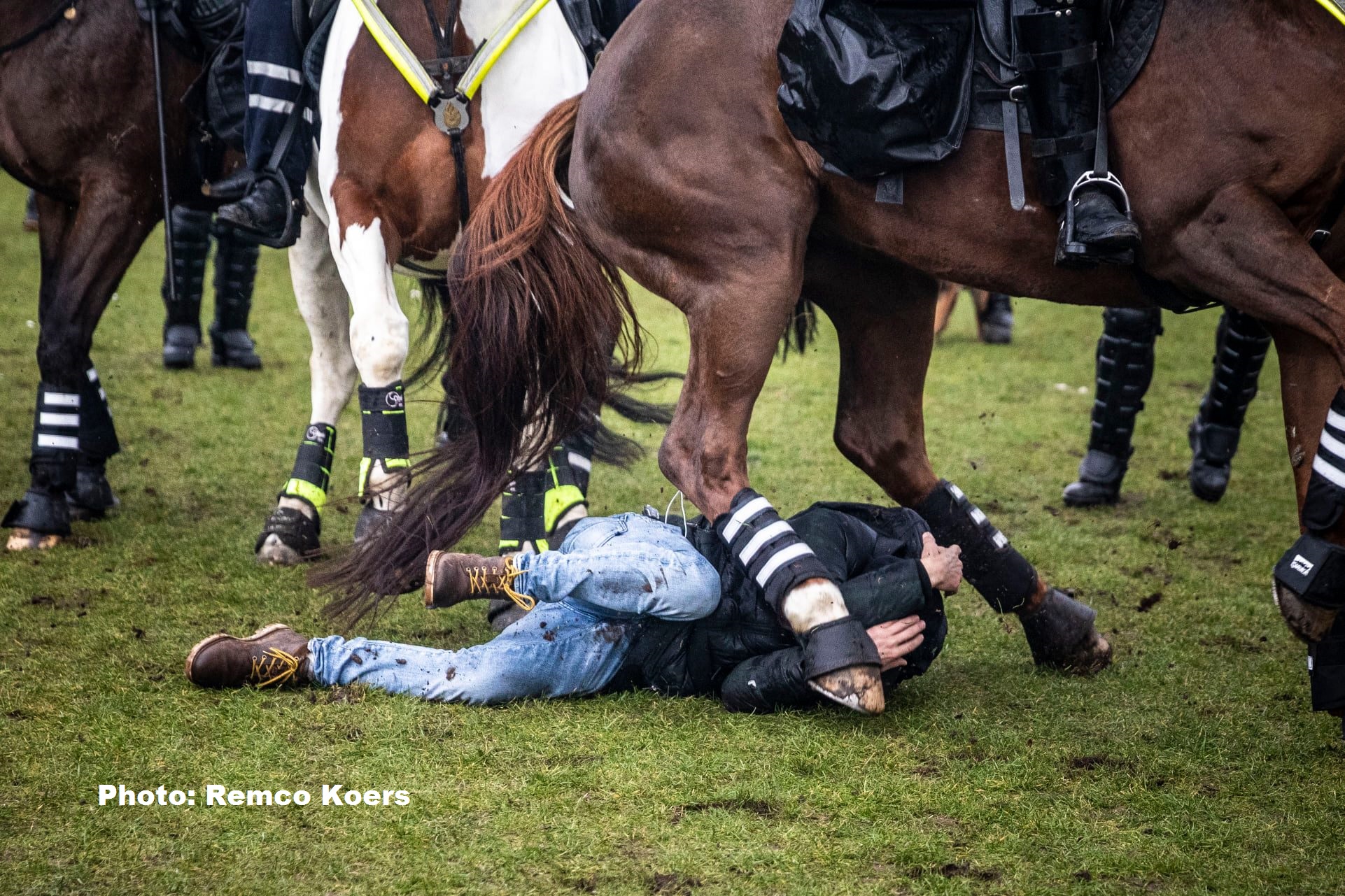 Лошадь способная. Разгон демонстрантов вснидерландах. Лошадь затоптала человека. Нидерланды разгон демонстрации. Разгон протестующих в Нидерландах.