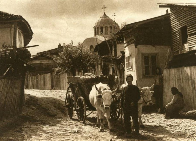În Turtucaia, Dobrogea
