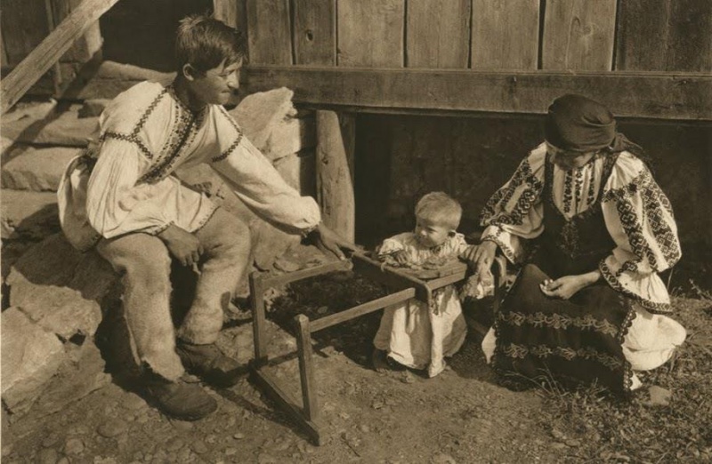 Familie de moți