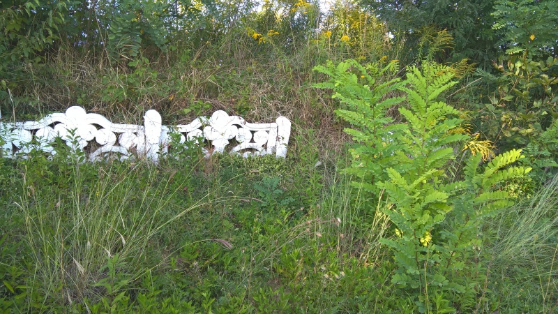 Gardul de împrejmuire, vechi și parțial căzut.