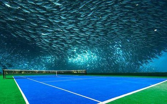 Terenul de tenis subacvatic