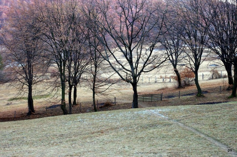 Mânăstirea Prislop, Ţara Haţegului