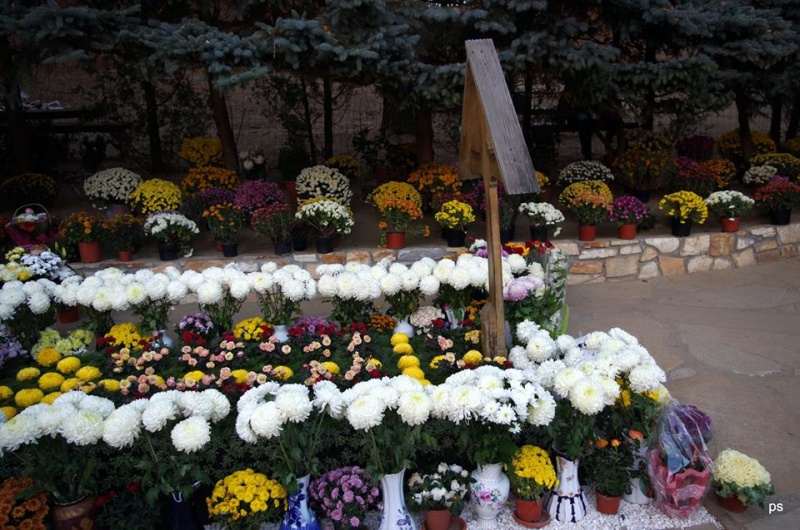 Mânăstirea Prislop, Ţara Haţegului