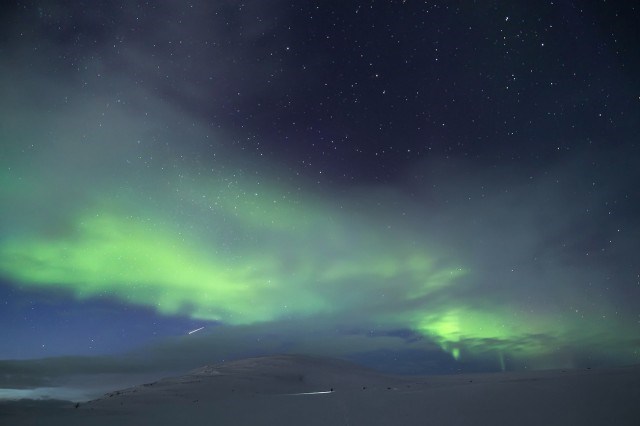 Arctica