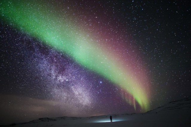 Arctica