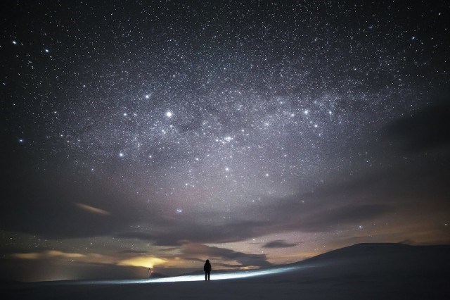 Arctica