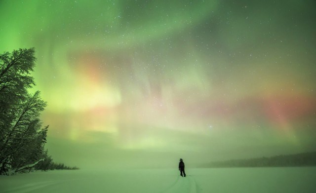 Arctica