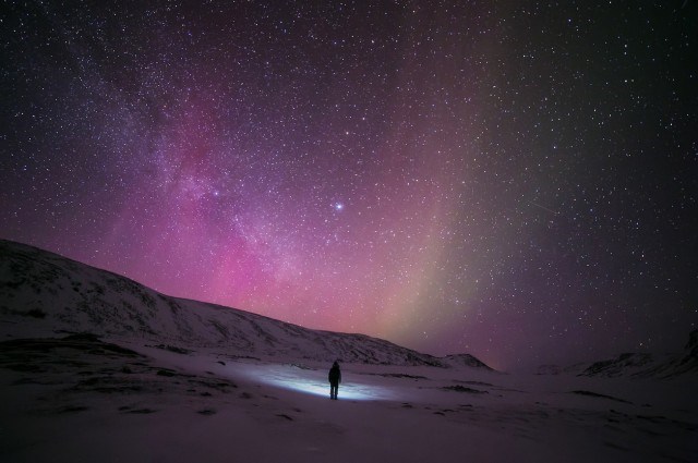Arctica