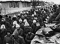 594 de eroi români de la Stalingrad vor fi reînhumați într-un cimitir de onoare din Rusia, cu prilejul Zilei Armatei României