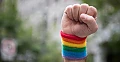 Poziția ACCEPT față de proiectul Dianei Tușa arată că ACCEPT nu vrea binele homosexualilor, ci controlul societății