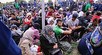 România a semnat Declarația euro-africană ce recunoaște „avantajele migrației în ceea ce privește dezvoltarea”. Ungaria a refuzat