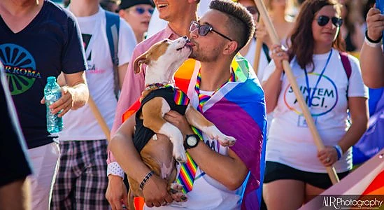 MAE: Statul român a contribuit cu aproximativ 13% din suma necesară organizării manifestărilor dedicate homosexualității din cadrul „Bucharest Pride 2019”