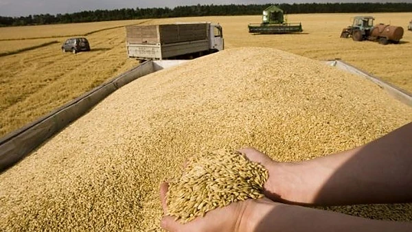 Petre Daea, despre reluarea exportului de cereale: Cum s-a îmbunătățit situația, că nu am recoltat până acum niciun bob de grâu din noua recoltă?