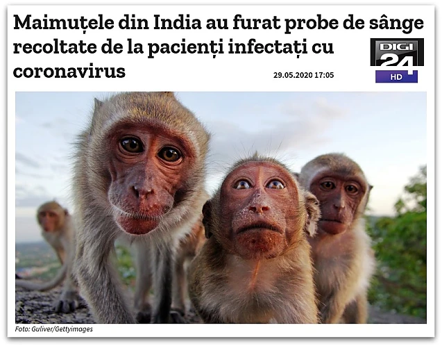 Avertisment de la CNA și Informație pe surse: La vaccinurile pentru variola maimuței nu se vor mai da gratis mici și muștar, ci banane. POANTELE ZILEI