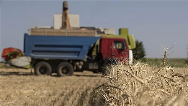 Ucraina dă în judecată Polonia, Ungaria și Slovacia în criza cerealelor. Urmăm noi?