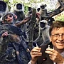 Marius Mioc: Ultima modă în materie de pornografie a fricii: variola maimuței. Pandemia, episodul doi