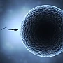 Conspiraționiștii au avut dreptate: Vaccinul Pfizer afectează numărul de spermatozoizi. STUDIU ISRAELIAN