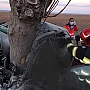 Infarct la volan, la doar 31 de ani. O femeie din Focșani a murit subit în timp ce conducea, iar mașina a ajuns într-un copac. Nu s-au găsit urme de frânare