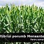 FOCUS-AGRICOL.RO: Consiliul Concurenței a demarat o investigație de amploare privind înțelegerile de pe piața producției și comercializării semințelor de cultură: MONSANTO România printre cei vizați