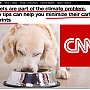SUA: Activiștii pentru climă intenționează să sacrifice milioane de câini pentru a combate încălzirea globală. CNN susține că dieta lor încălzește planteta cât a cincea țară a lumii. Hrăniți animalele doar cu mâncăruri pe bază de insecte