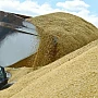 Fermierii români, grav afectați de importurile ieftine din Ucraina: ”Sufocă piața românească”!
